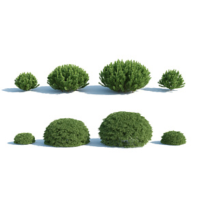 现代灌木花园植物园林植物3d模型
