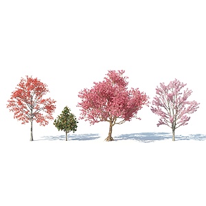 现代树木花树红花树3d模型