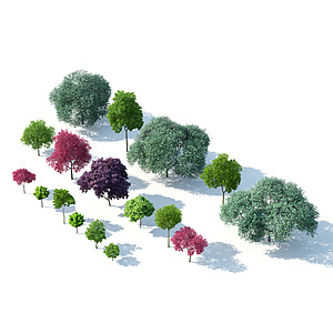 树木树木组合园林景观树3d模型