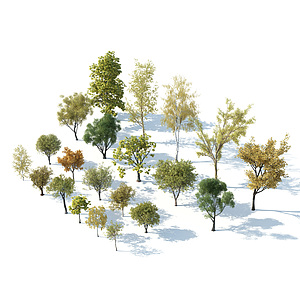 秋季树木银杏树枫树黄叶树3d模型