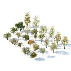 树木树木组合秋季树木3d模型