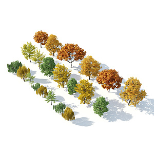 树木树木组合秋季树木3d模型