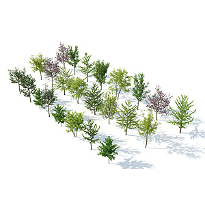 树木树木组合园林景观树3d模型