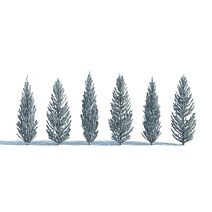 树木树木组合杉树3d模型