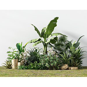 室外绿化植物灌木植物花坛3d模型