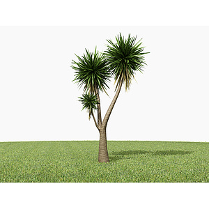 现代棕榈树3d模型