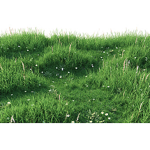 植物草地草坪3d模型