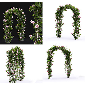 植物花卉植物门3d模型