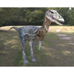 象鸟恐龙动物3d模型
