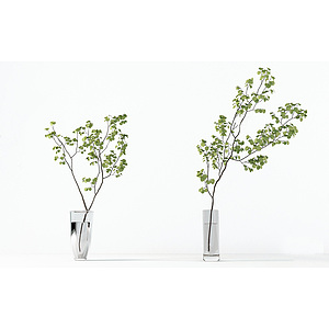 现代日本吊钟绿植水生植物3d模型