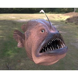 灯笼鱼足球鱼深海鱼类3d模型