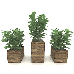 现代风格植物盆栽3d模型