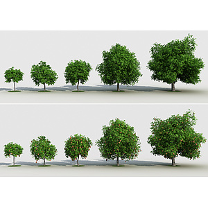 现代芒果树景观树3d模型