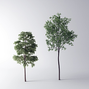 现代树树木3d模型