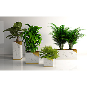 现代盆栽盆景植物组合3d模型