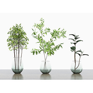 现代风格花卉花瓶绿植3d模型