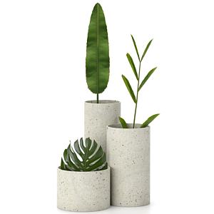 室内植物绿植盆栽组合3d模型