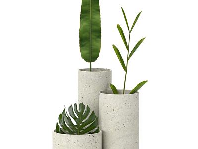室内植物绿植盆栽组合3d模型3d模型