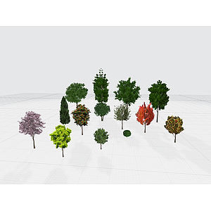 简模园区道路种植绿植大树3d模型
