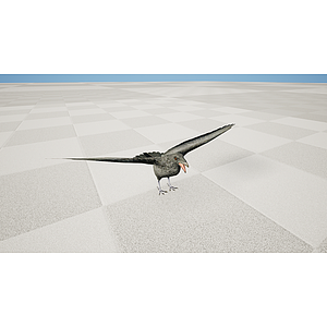 野生动物鹦鹉鸟乌鸦3d模型