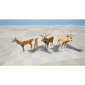 野生动物鹿3d模型
