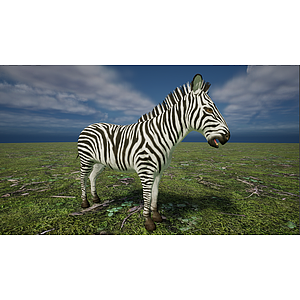 野生非洲草原素食动物斑马3d模型