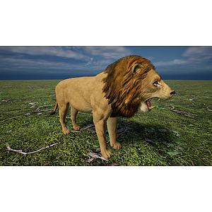 野生非洲草原肉食动物狮子3d模型