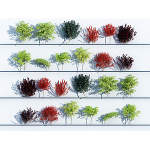 植物绿植树木组合3d模型