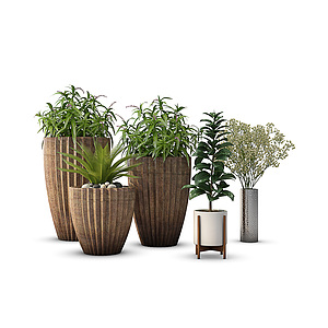 植物绿植盆栽植物花瓶3d模型