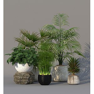 植物绿植盆栽组合3d模型