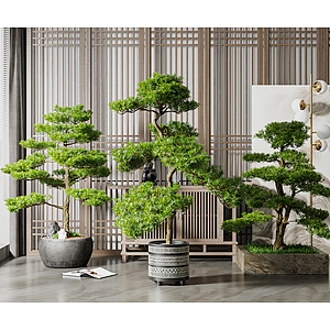 新中式绿植盆栽组合3d模型