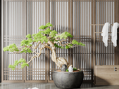 中式綠植盆栽3d模型