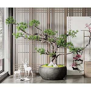 中式绿植盆栽3d模型