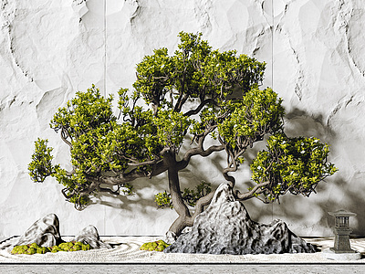 新中式景观树模型3d模型