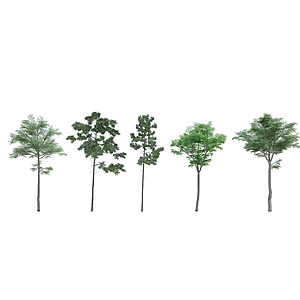 植物绿植树木组合3d模型
