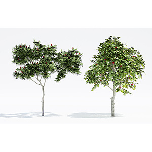 植物树木大树果树3d模型