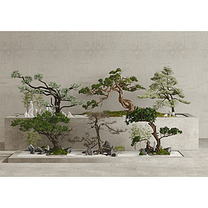 中式景观树3d模型