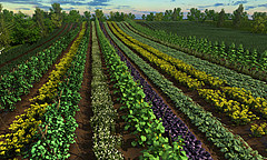 现代景观蔬菜园3D模型