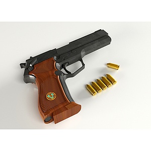 手枪VektorSP13d模型