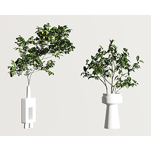 现代盆栽3d模型