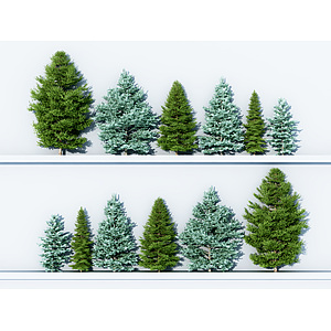 现代松树3D模型3d模型
