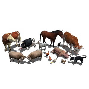 牛羊猪狗鸡养家禽动物组合3d模型