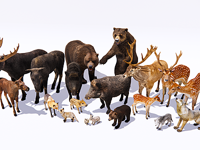 3d森林动物爬行动物鹿狼模型