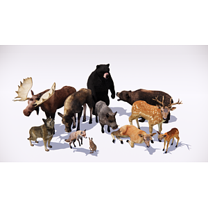 森林动物爬行动物鹿狼熊3d模型