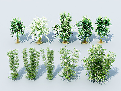 3d竹子绿植模型