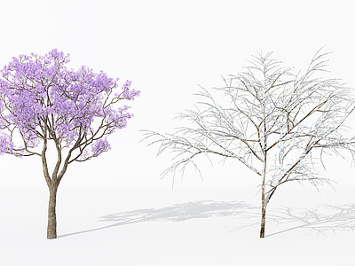 3d景观植物树雪景树枯树干枝模型