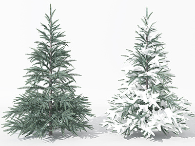 景观植物树松柏树针叶植物3d模型