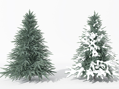 景观植物树松柏树针叶3d模型