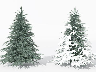 现代景观植物树松柏3d模型