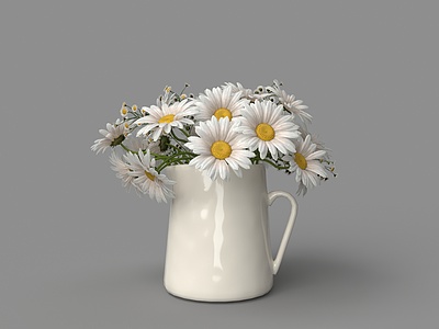 3d水壶花瓶菊花模型